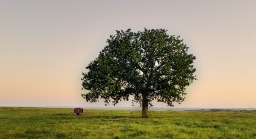 肩負重擔 推動我國經濟、社會<br>環境全面協調可持續發展